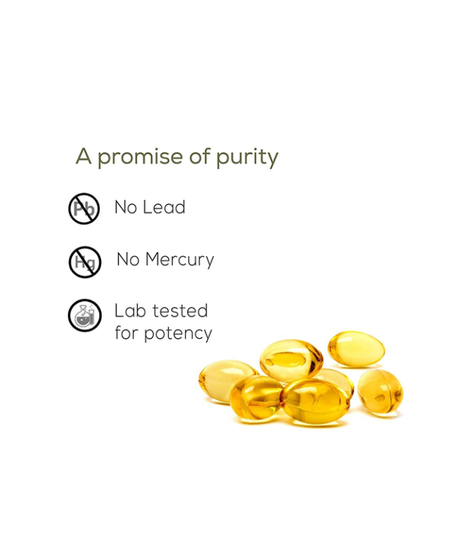 TrueBasics Ultra Omega-3 Fatty Acids (EPA 525 mg DHA 400 mg) | 90 ...